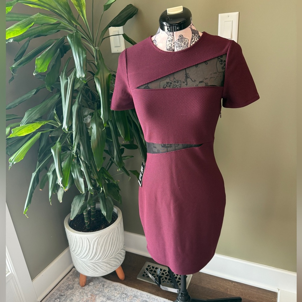 Express Women’s Maroon Dress Size 2